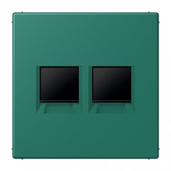 Virsma (ar fiksatoru) modulārai datu rozetei 2-vietīga, UMA-CAT6A, termoplasts lakots, Serie LS, vert anglais