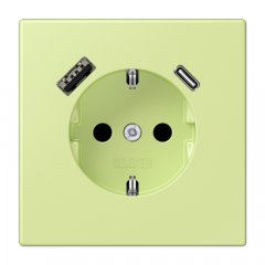 Kontaktligzda SCHUKO 16 A 250 V ~, USB pieslēgvieta 1 x Typ A + 1 x Typ C, ar bērnu drošību, Serie LS, vert jaune clair