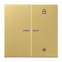 eNet taustiņš unversālais 2-viet,  Serie LS, misiņš