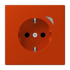 Kontaktligzda JUNG HOME SCHUKO, 16 A 250 V ~, skrūvju spailes, ar indikātoru un bērnu drošību, termoplasts krāsots