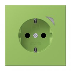 Kontaktligzda JUNG HOME SCHUKO, 16 A 250 V ~, skrūvju spailes, ar indikātoru un bērnu drošību, termoplasts krāsots