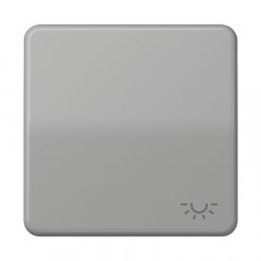 Taustiņs 1-viet, ar spuldzes simbolu, duroplasts, Serie CD, grau