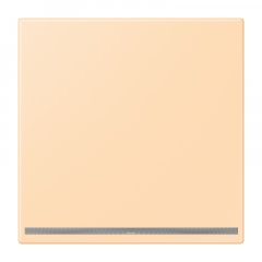 LED-dežūrgaisma, Thermoplast lackiert, Serie LS, ocre