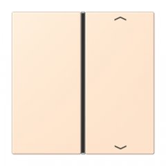 Taustiņs slēdzim 1-viet, ar virzienrādītāju, F40, Serie LS, terre sienne pâle