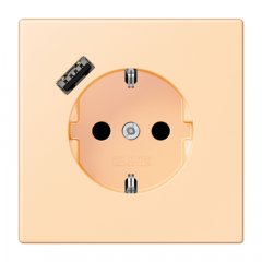 Kontaktligzda SCHUKO 16 A 250 V ~, USB pieslēgvieta 1 x Typ A, ar bērnu drošību, Serie LS, ocre