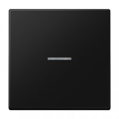 Taustiņs KNX slēdzim ar indikācijas logu 1-viet, Serie LS, grafīta melns matēts