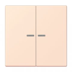 Taustiņs KNX slēdzim ar indikācijas logu 2-viet, Serie LS, orange pâle