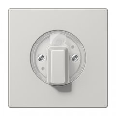 Virsma ar grozāmu slēdzi, duroplasts, Serie LS, gaiši pelēks