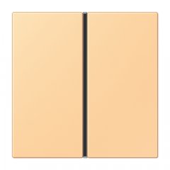 Taustiņs 1-viet, F40, Serie LS, terre sienne claire 59