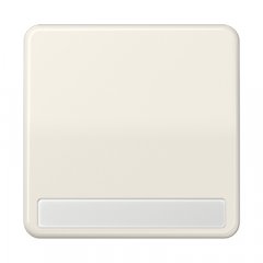 Taustiņs 1-viet, marķējams, termoplasts, Serie CD, ziloņkaula