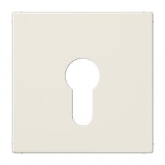 Virsma slēdzim ar atslēgu, termoplasts, Serie LS, ziloņkaula