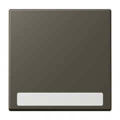 Taustiņs 1-viet, marķējams, Serie LS, ombre naturelle 31