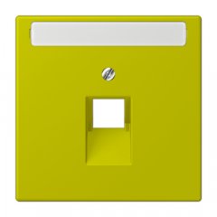 Virsma IAE/UAE-datu rozetei 1 x 8-polig, marķējams, termoplasts lakots, Serie LS, vert olive vif