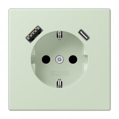 Kontaktligzda SCHUKO 16 A 250 V ~, USB pieslēgvieta 1 x Typ A + 1 x Typ C, ar bērnu drošību, Serie LS, vert anglâis pale