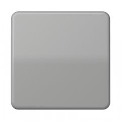 LB-Management taustiņš 1-viet, duroplasts, Serie CD, grau