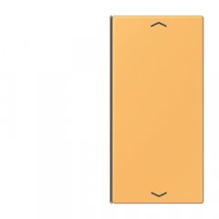 Taustiņs slēdzim 2-viet, ar virzienrādītāju, F40, Serie LS, ocre jaune clair