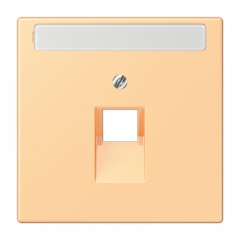 Virsma IAE/UAE-datu rozetei 1 x 8-polig, marķējams, termoplasts lakots, Serie LS, terre sienne claire 59