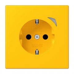 Kontaktligzda JUNG HOME SCHUKO, 16 A 250 V ~, skrūvju spailes, ar indikātoru un bērnu drošību, termoplasts krāsots