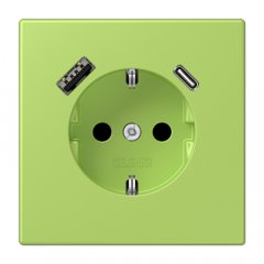 Kontaktligzda SCHUKO 16 A 250 V ~, USB pieslēgvieta 1 x Typ A + 1 x Typ C, ar bērnu drošību, Serie LS, vert clair