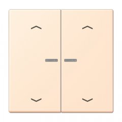 JUNG HOME taustiņš 2-viet, ar bultiņu simboliem<br />
, Serie LS, terre sienne pâle