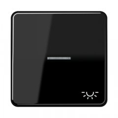 Taustiņs 1-viet, ar indikācijas logu, ar spuldzes simbolu, duroplasts, Serie CD, melns