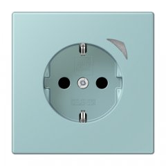 Kontaktligzda JUNG HOME SCHUKO, 16 A 250 V ~, Energy, skrūvju spailes, ar indikātoru un bērnu drošību, termoplasts