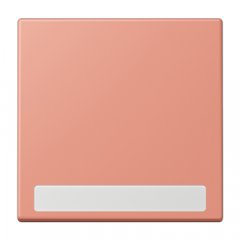 Taustiņs 1-viet, marķējams, Serie LS, l'ocre rouge moyen