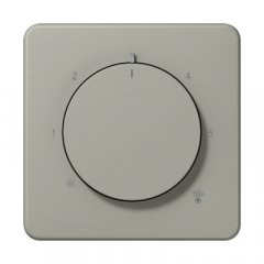 Centrālplate termostatam, termoplasts lakots, Serie CD, platīna krāsa