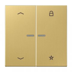 eNet taustiņš unversālais 2-viet, ar bultiņu simboliem<br />
, misiņš, Serie LS, misiņš