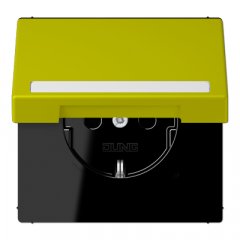 Kontaktligzda SCHUKO, 16 A 250 V ~, marķējams, ar bērnu drošību un vāciņu, termoplasts krāsots, Serie LS, vert ol