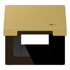 Rozetes vāks ar atsperi un centrālplati, simbols lādētājs, vertikālā un horizontālā montāža, Serie LS, misiņš