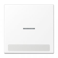 Taustiņs 1-viet, ar indikācijas logu, marķējams, Serie LS, sniegbalts matēts