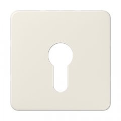 Virsma slēdzim ar atslēgu, termoplasts, Serie CD, ziloņkaula