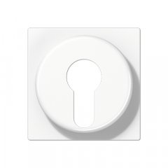 Virsma slēdzim ar atslēgu, termoplasts, Serie AS/A, balts