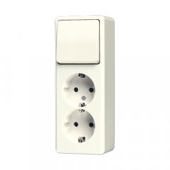 Kombinētais slēdzis/kontaktligzda SCHUKO®-Zweifach-Steckdose 16 A 250 V ~ ar universālu izslēgšanas slēdzi 10 AX 250 V ~, AP 600, ziloņkaula