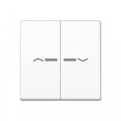 Taustiņs 2-viet ar indikācijas logu un virzienrādītāju, duroplasts, Serie AS, balts