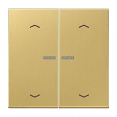 JUNG HOME taustiņš 2-viet, ar bultiņu simboliem<br />
, misiņš, Serie LS, misiņš