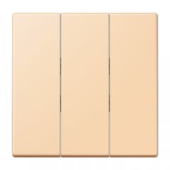 Taustiņs 3-viet, termoplasts lakots, Serie LS, ocre