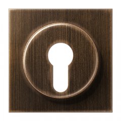 Virsma slēdzim ar atslēgu, Messing, Serie LS, Messing antik