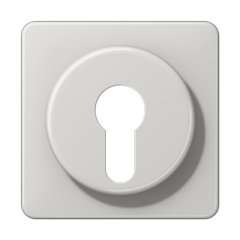 Virsma slēdzim ar atslēgu, termoplasts, Serie CD, gaiši pelēks