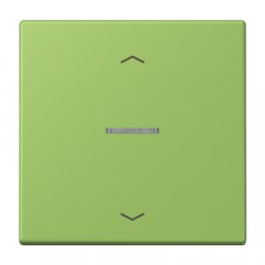 JUNG HOME taustiņš 1-viet, ar bultiņu simboliem<br />
, Serie LS, vert 31