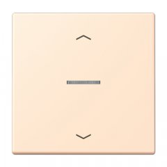 JUNG HOME taustiņš 1-viet, ar bultiņu simboliem<br />
, Serie LS, terre sienne pâle