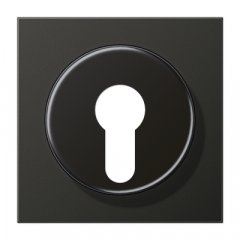 Virsma slēdzim ar atslēgu, Aluminium lackiert, Serie LS, antracīts (lakots alumīnijs)