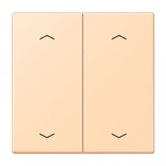 Taustiņs KNX slēdzim, ar virzienrādītāju 2-viet, Serie LS, ocre