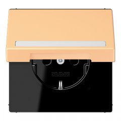 Kontaktligzda SCHUKO, 16 A 250 V ~, marķējams, ar bērnu drošību un vāciņu, termoplasts krāsots, Serie LS, terre s