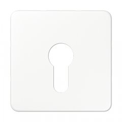 Virsma slēdzim ar atslēgu, termoplasts, Serie CD, balts