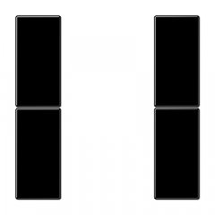 Taustiņs 2-viet, F50, Serie LS, melns