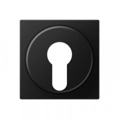 Virsma slēdzim ar atslēgu, termoplasts lakots, Serie A, grafīta melns matēts