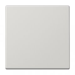 Taustiņs KNX slēdzim 1-viet, duroplasts, Serie LS, gaiši pelēks