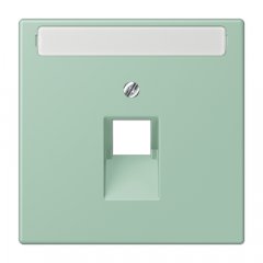 Virsma IAE/UAE-datu rozetei 1 x 8-polig, marķējams, termoplasts lakots, Serie LS, vert anglais clair